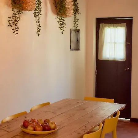 Affittacamere Balili Surf House 2*