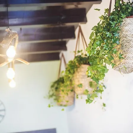 Balili Surf House 2* Baleal