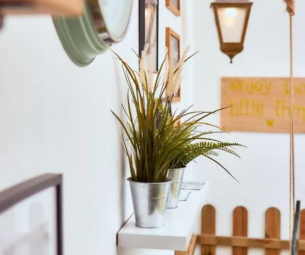 Balili Surf House 게스트하우스