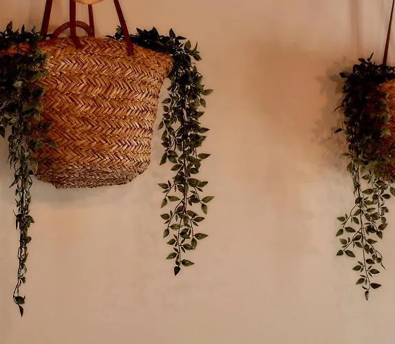 게스트하우스 Balili Surf House 발리알