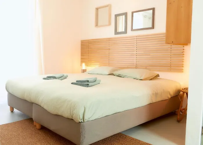 Balili Surf House 발리알