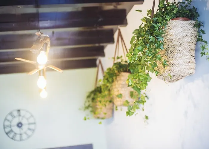 Balili Surf House 2* 발리알